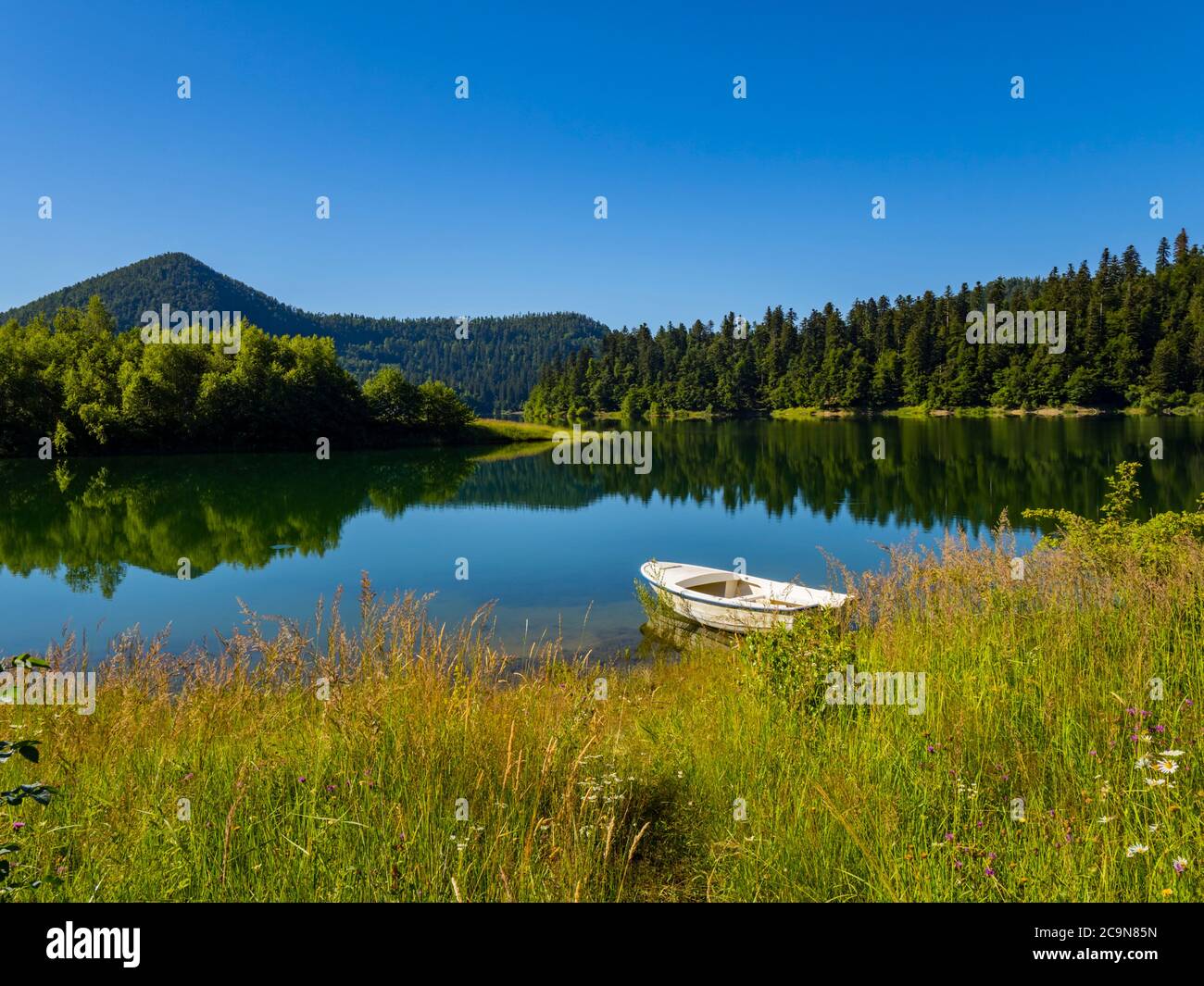 Solitaria barca ormeggiata bella natura del lago di Lokve in Croazia Campagna Europa campagna campagna di campagna Foto Stock