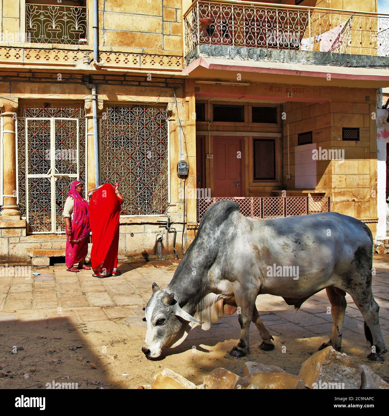 Vita quotidiana della città vecchia indiana Jaisalmer. Persone e mucche per le strade. Rajastan Feb 2013. India Foto Stock