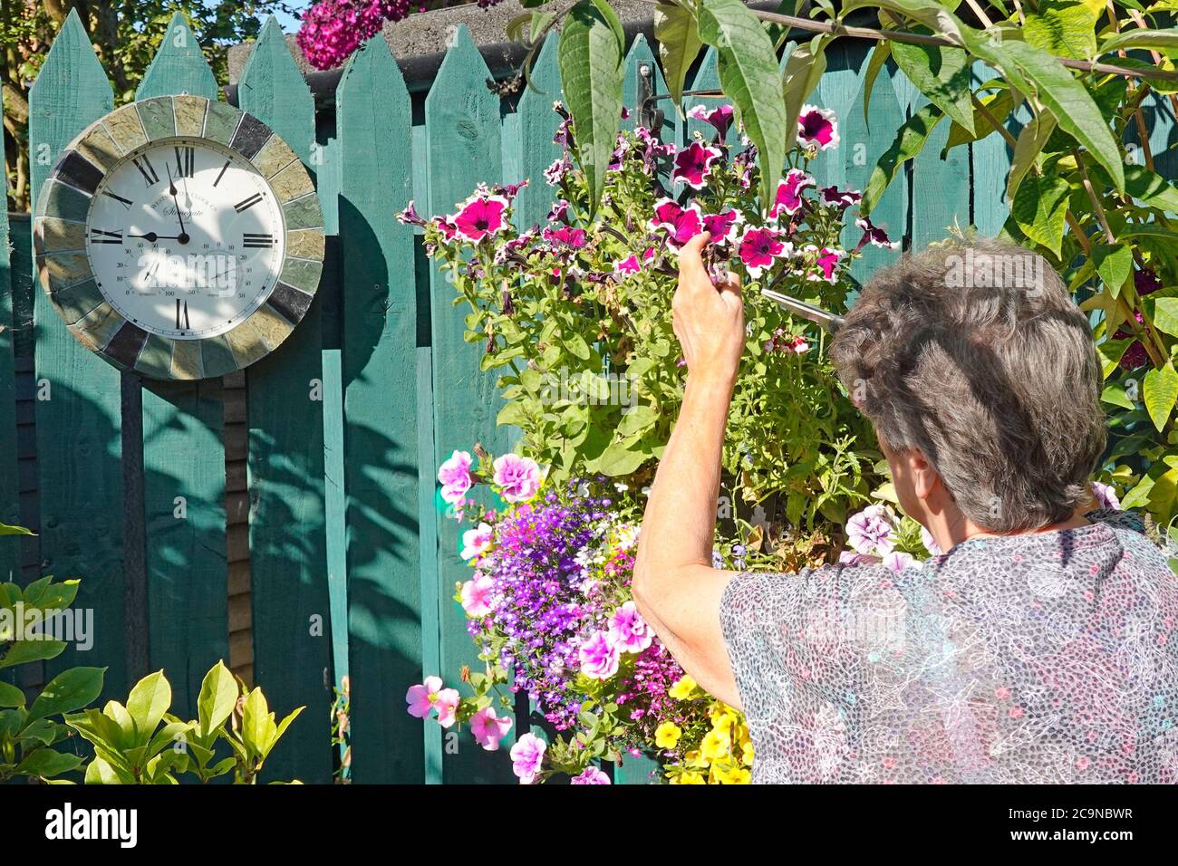 Anziana donna lavoratrice pensionato con la pressione di orologio del giardino da dare occhio al tempo per gli appuntamenti di salute nipoti impegni godendo passatempi regno unito Foto Stock