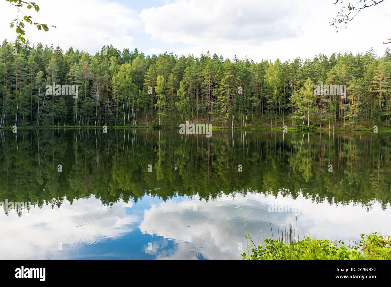 Natura meravigliosa. Lago del Diavolo a Lungale, Lettonia. Bellissimo lago in una foresta di pini, con alberi verdi e nuvole riflesse sull'acqua in estate Foto Stock