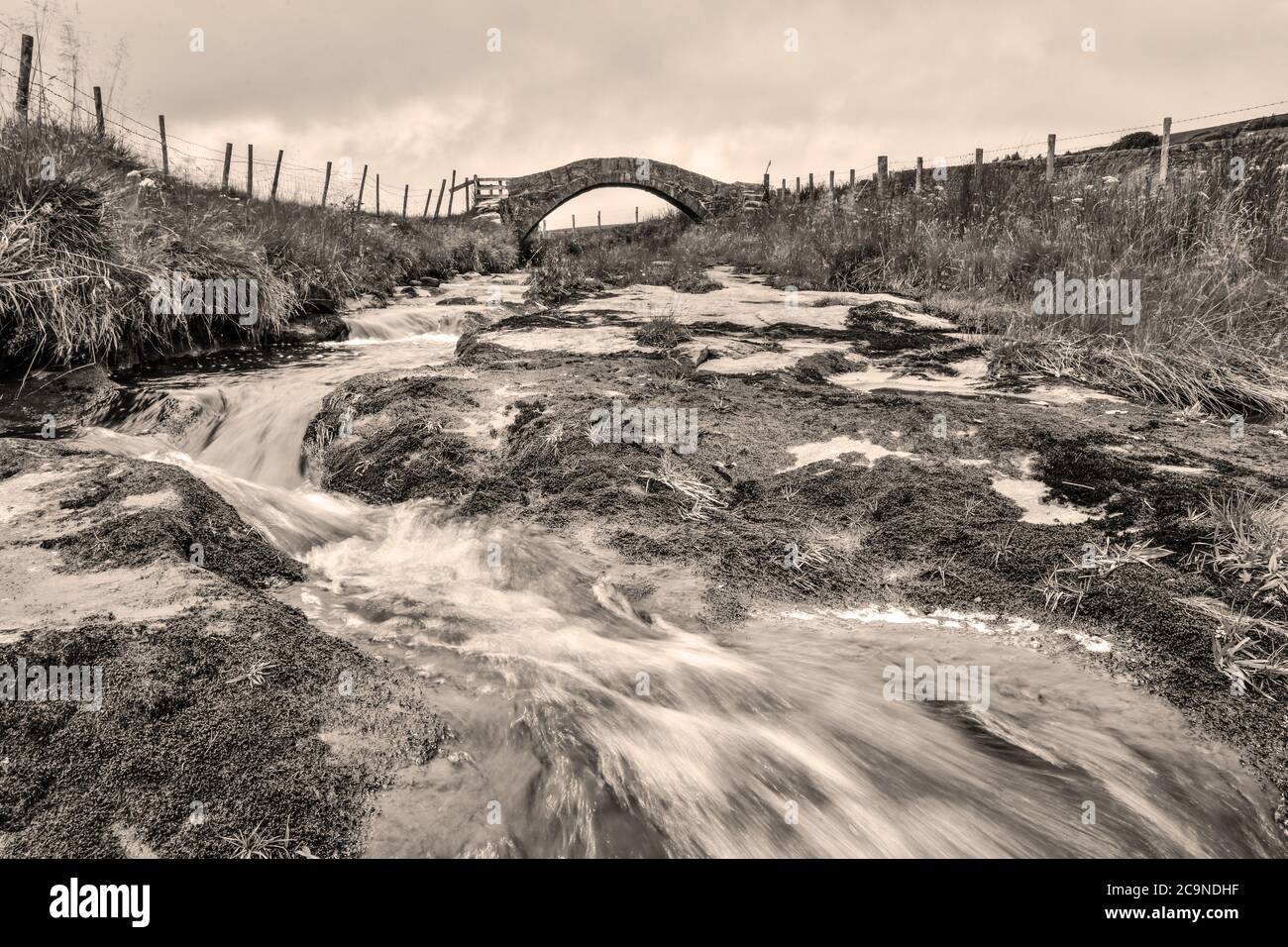 Ponte Strines, Strines inferiore, Colden acqua, Packhorse Vecchio Ponte sul fiume, Jack Bridge, Colden, South Pennines, Calderdale, West Yorkshire Foto Stock