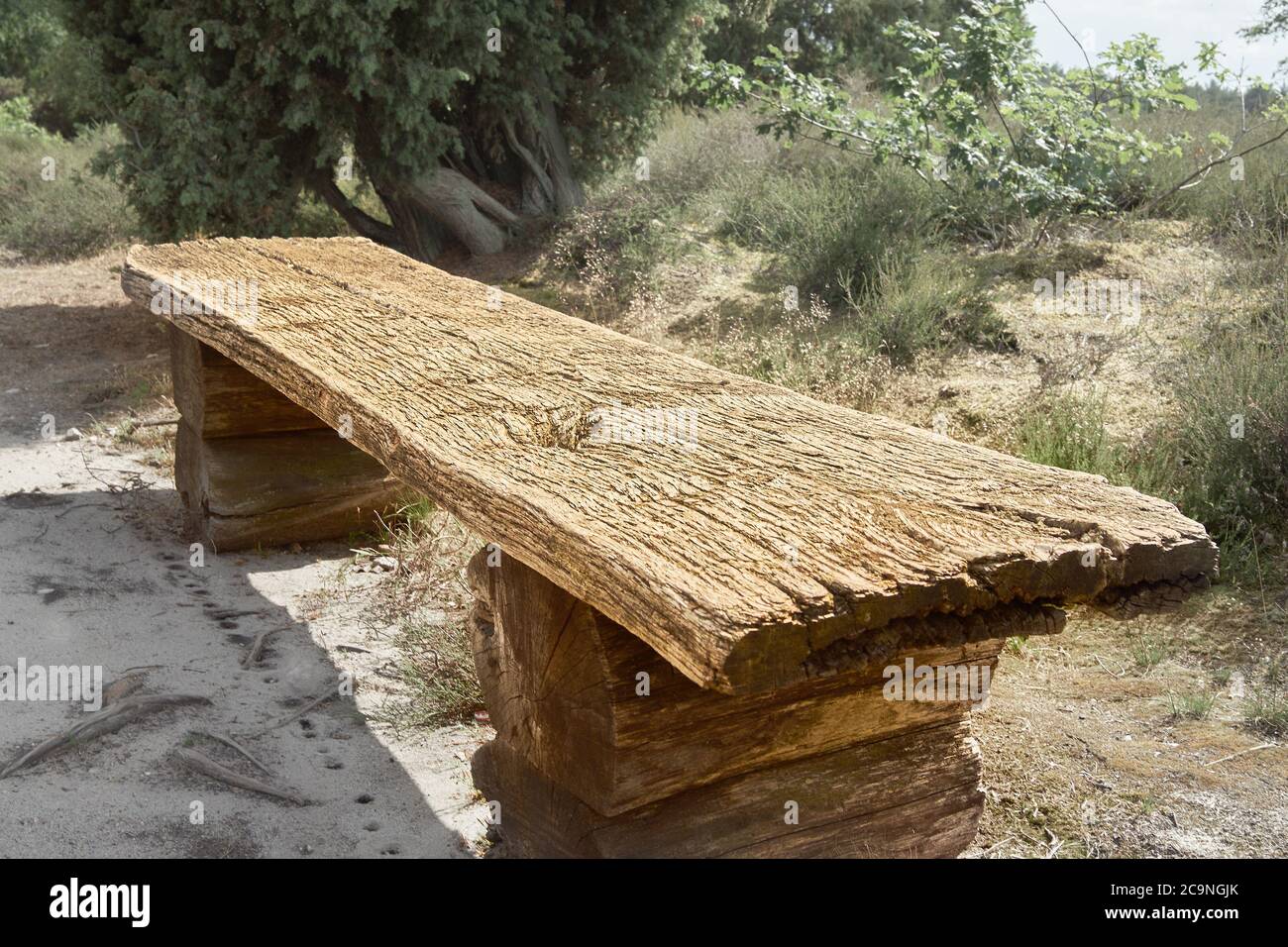 Rustica panca vecchia fortemente strutturata come legno massiccio come luogo di riposo per gli escursionisti nella brughiera, in Germania Foto Stock