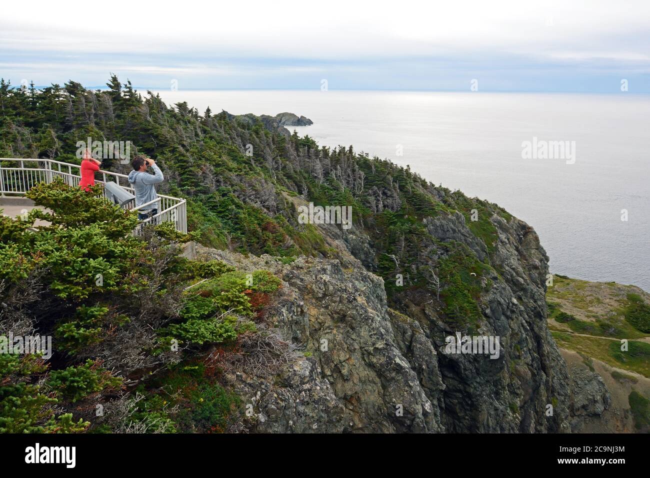 Punto di osservazione della testa del corvo Twillingate, Terranova Foto Stock