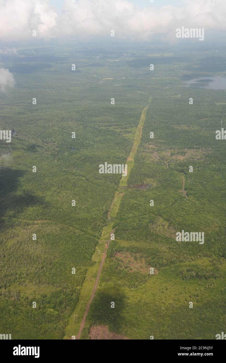 Percorso della linea elettrica nella foresta, vista aerea Foto Stock