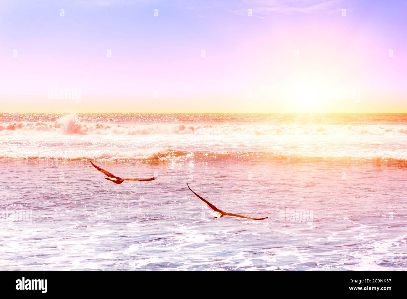 Splendide onde dell'oceano pacifico con gabbiole volanti al tramonto Foto Stock