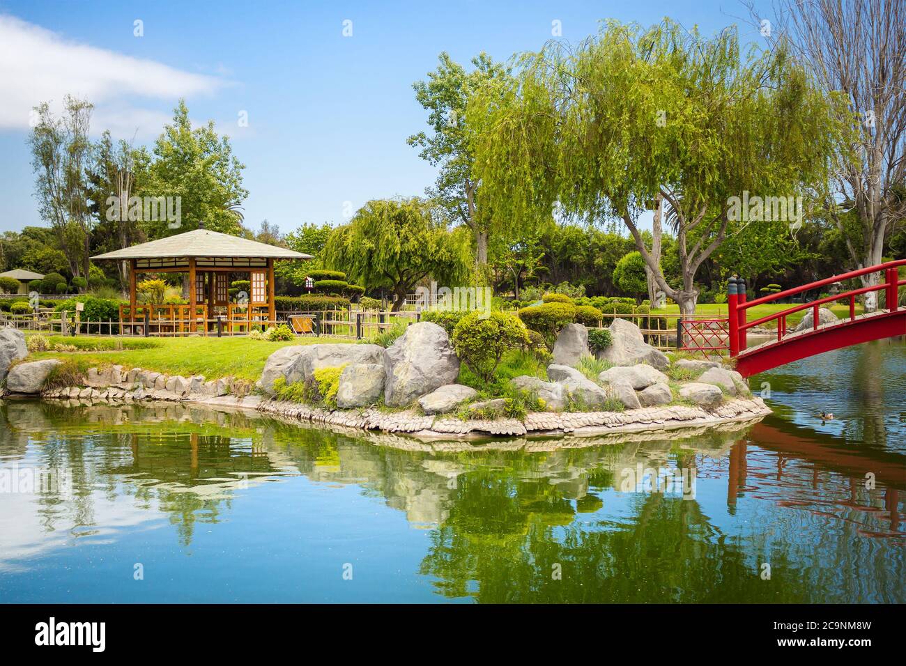 Bellissimo giardino giapponese con gazebo e riflessi nello stagno di la Serena, Cile Foto Stock