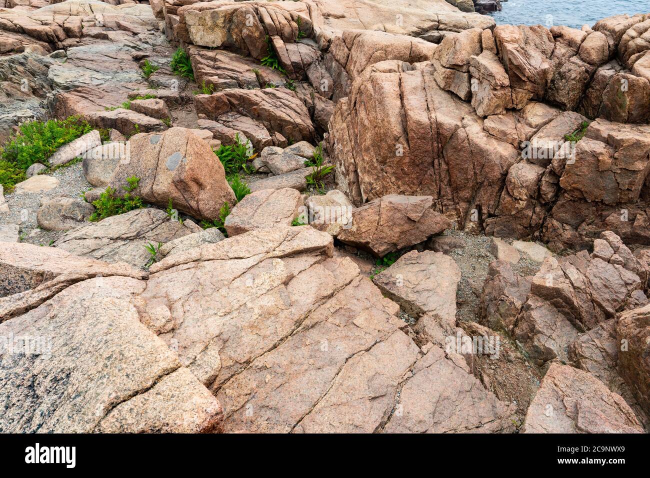 Vista in primo piano delle rocce di granito che si trovano lungo la costa del Maine. Foto Stock