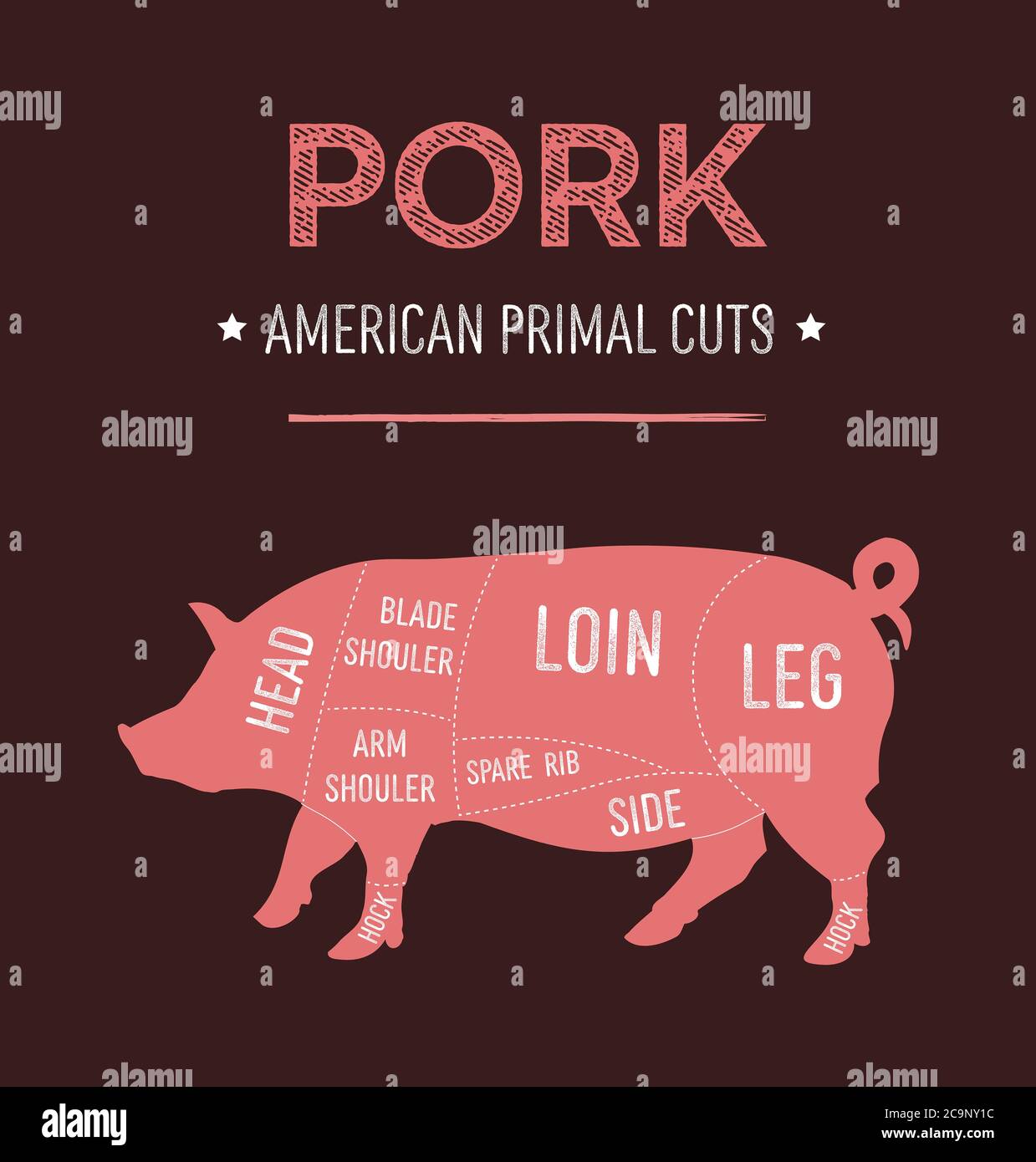 Illustrazione vettoriale del diagramma dei tagli primordiali di carne di maiale americana, schema degli Stati Uniti per macellaio Foto Stock