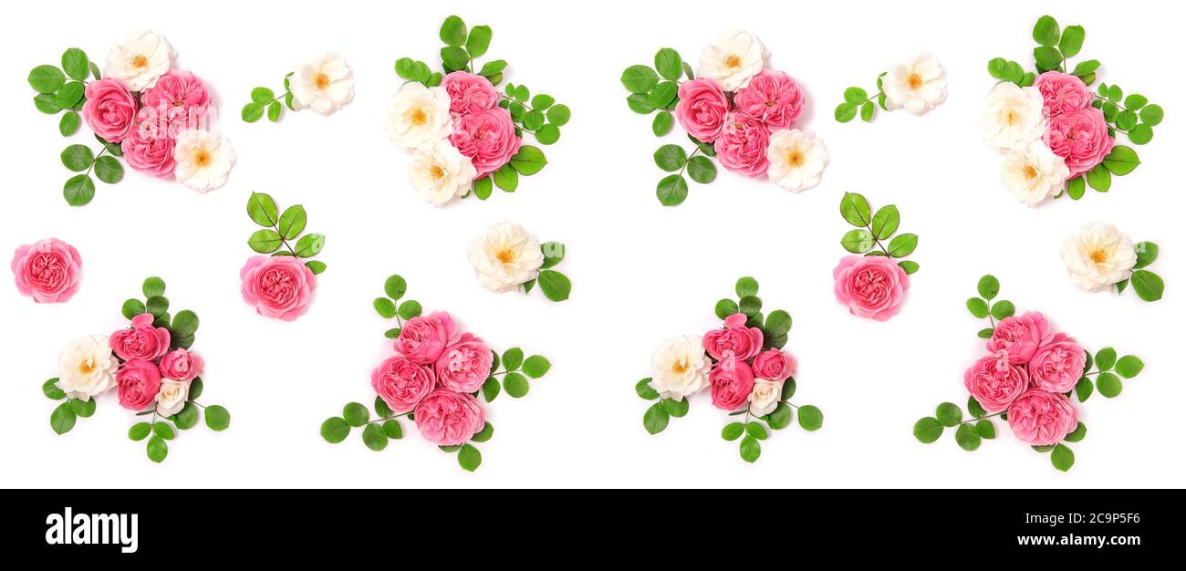 Fiori rosa con decorazione a foglie verdi. Banner piatto floreale Foto Stock