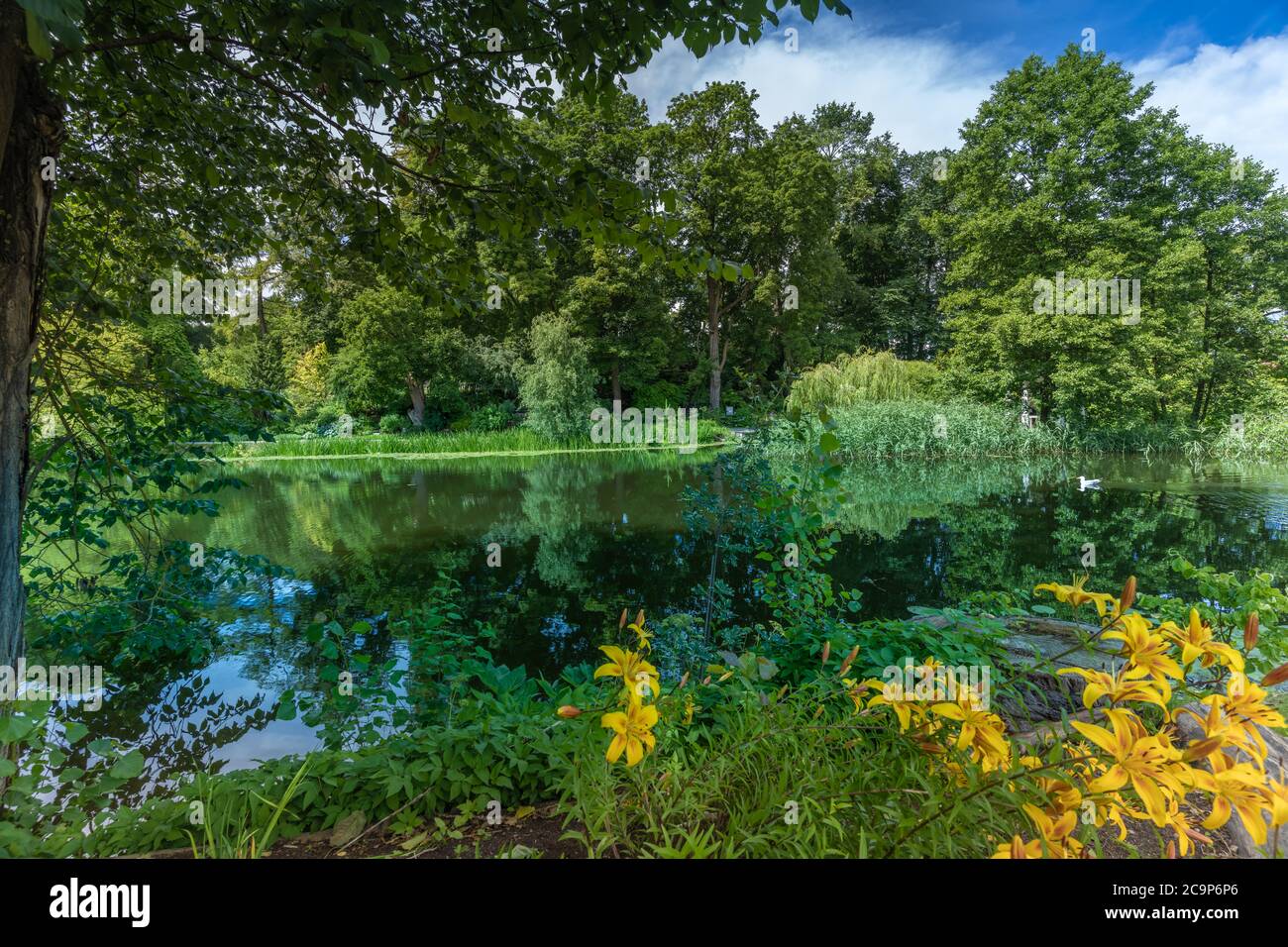 Bella Università di Tartu Botanical Gardens a Tartu, la seconda città più grande dell'Estonia. E il centro intellettuale del paese, sede del Foto Stock