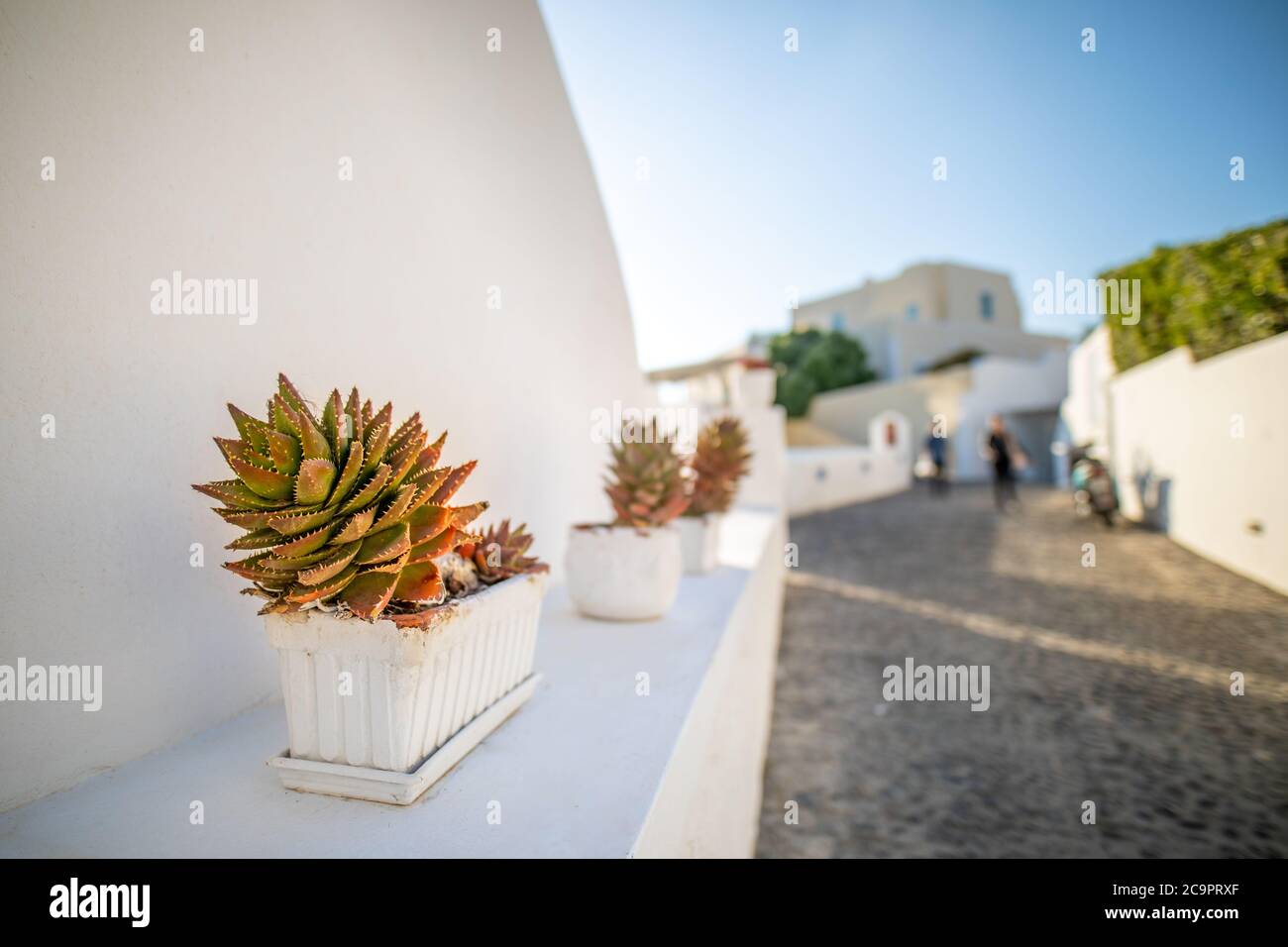 Splendida vista sulla strada dell'isola di Santorini. Grecia tradizionale architettura bianca e blu, vista mare e fantastica atmosfera estiva. Vacanza di lusso Foto Stock