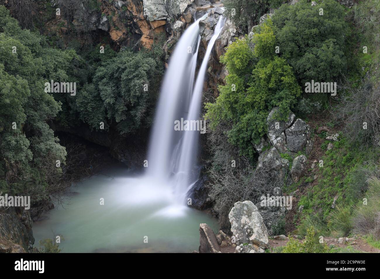 Alta cascata e verde tutto intorno. Fotografia a lunga esposizione. Cascata Saar alle alture del Golan. Foto Stock