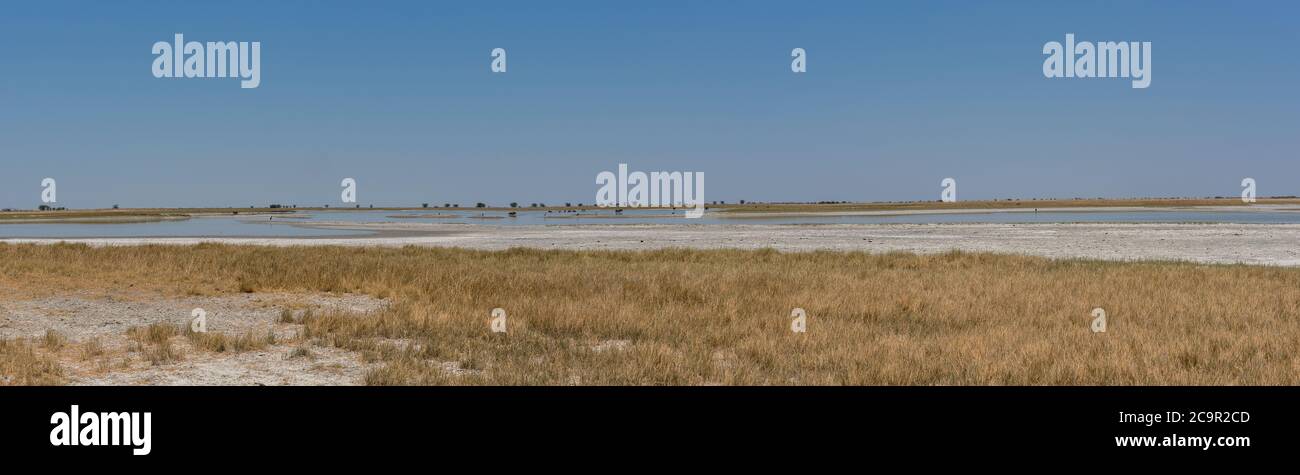 La salina di sua nella regione di Makgadikgadi, Botswana Foto Stock