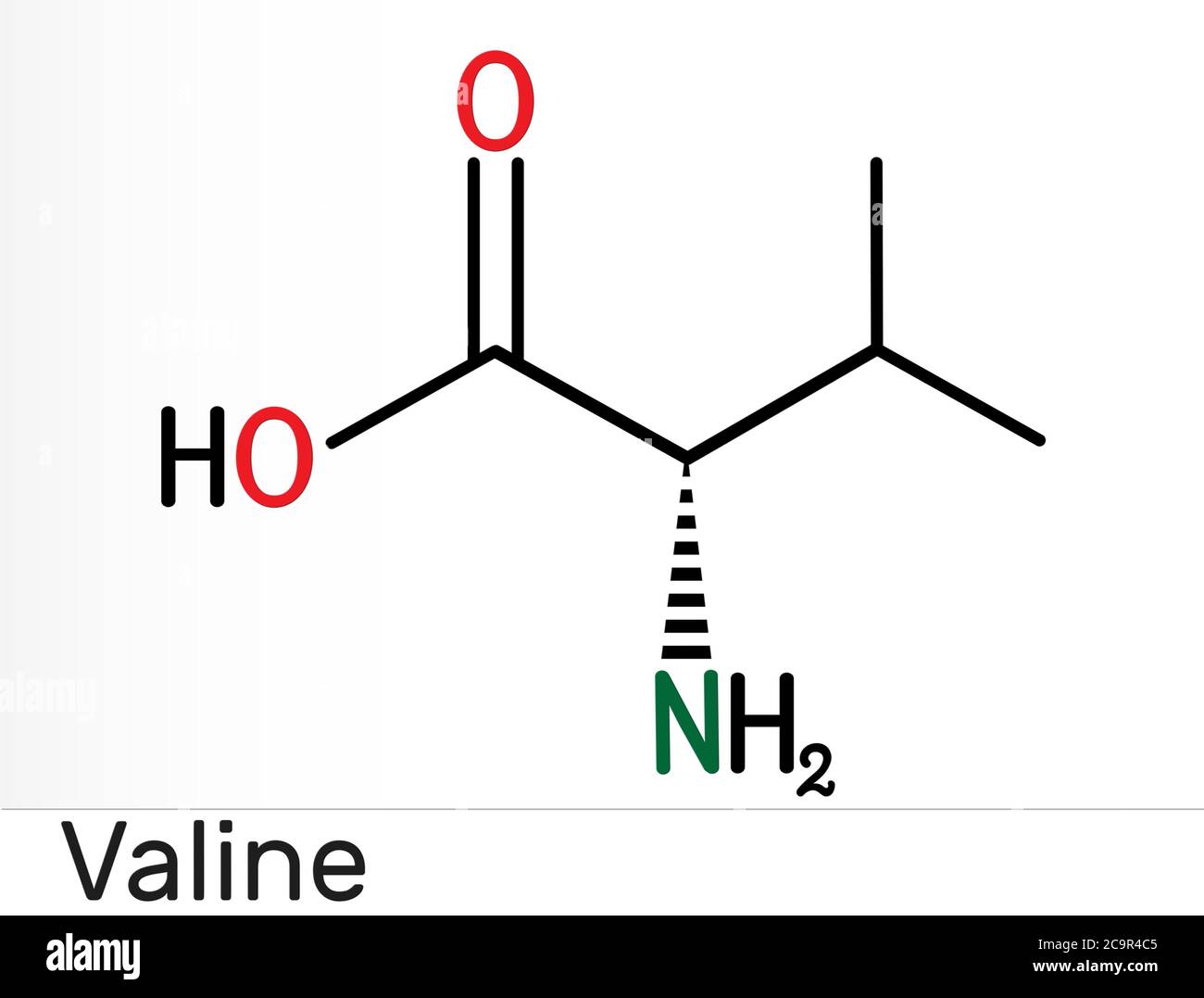 Valina, Val, L-valina molecola aminoacidica. È usato nella biosintesi delle proteine. Formula chimica strutturale. Illustrazione Foto Stock