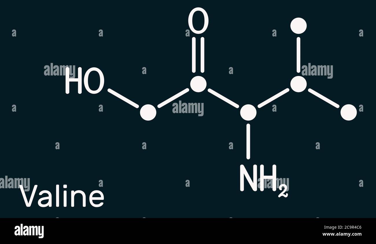 Valina, Val, L-valina molecola aminoacidica. È usato nella biosintesi delle proteine. Formula chimica strutturale.Illustrazione Foto Stock