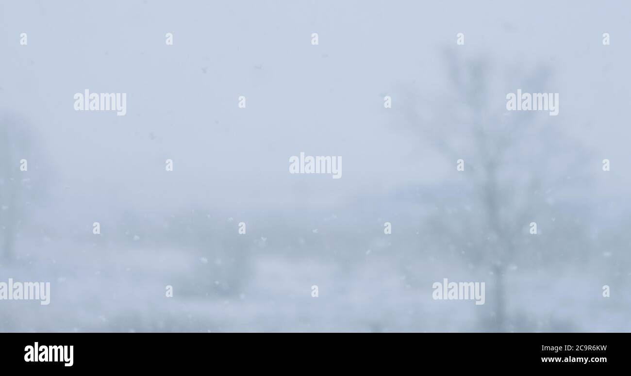 nevicate con foresta sfocata su uno sfondo Foto Stock