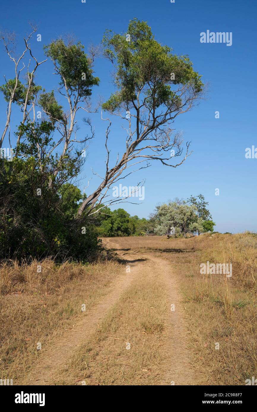 Pista sterrata in una giornata di sole nel territorio del Nord dell'Australia Foto Stock