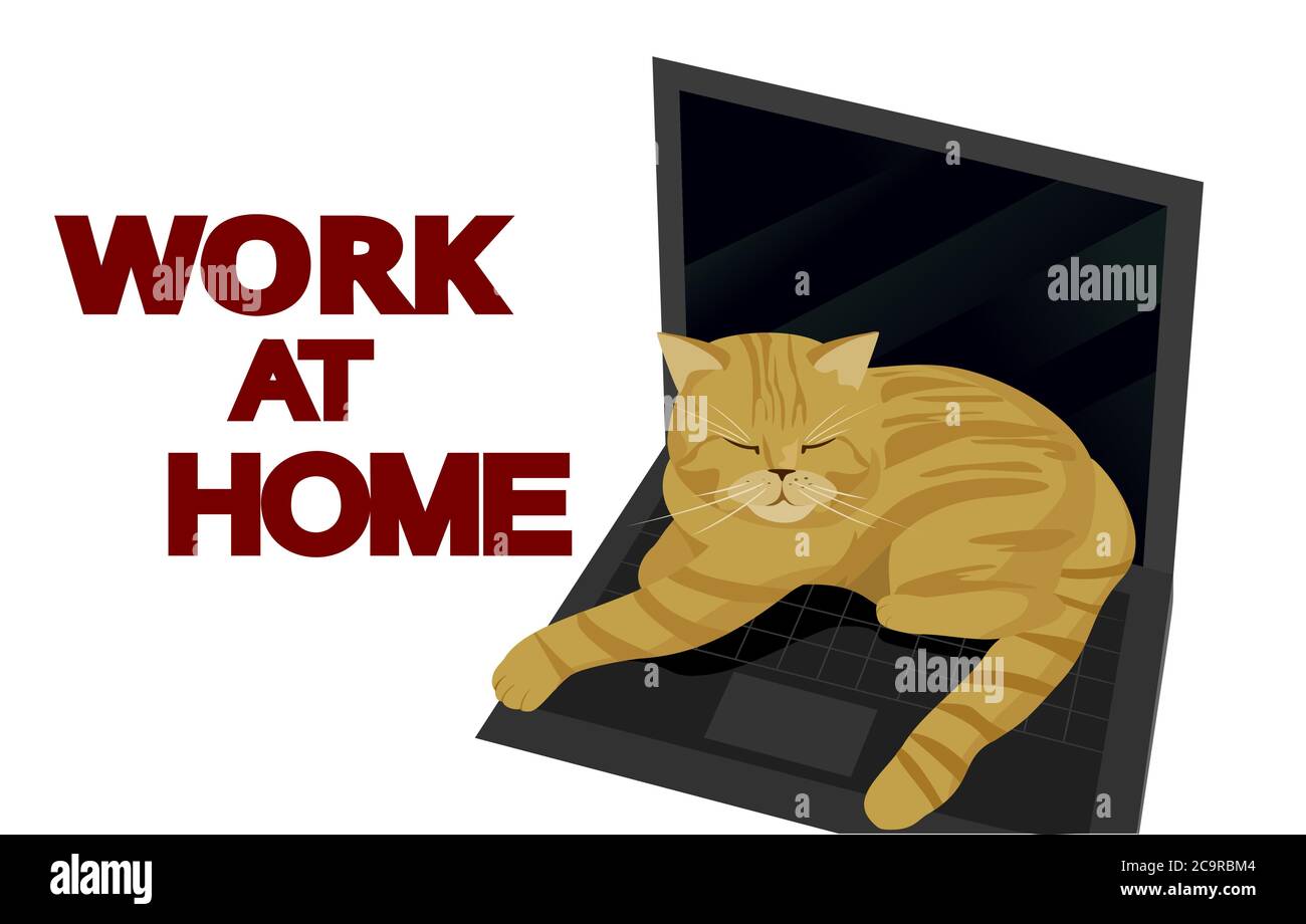 Red headed pigro Cat addormentando su laptop Vector Illustration. Cat e notebook, Concept White isolato. Cartoon piatto. Ufficio domestico. Lavoro da casa. Remoto Illustrazione Vettoriale