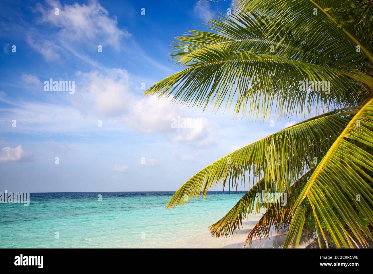 Piccola isola nelle Maldive coperta da palme e circondata da acque turchesi blu con bellissimi coralli e animali, perfetta fuga dal Foto Stock