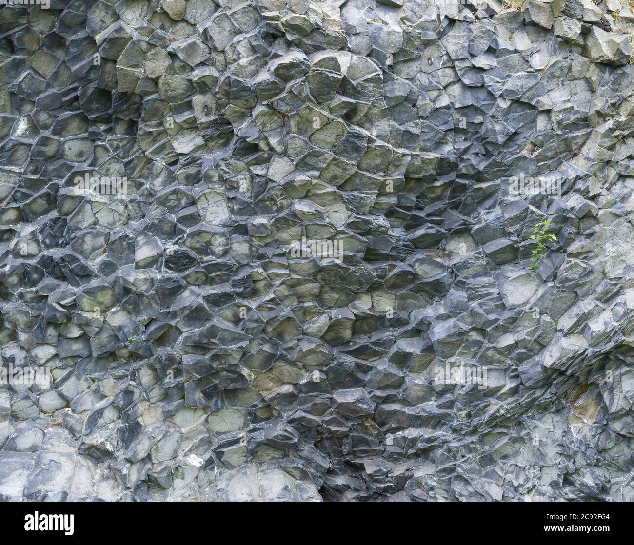 parete di pietra naturale di pavimentazione di colonna di basalto vulcanico, fondo geologico di pietra grigio Foto Stock