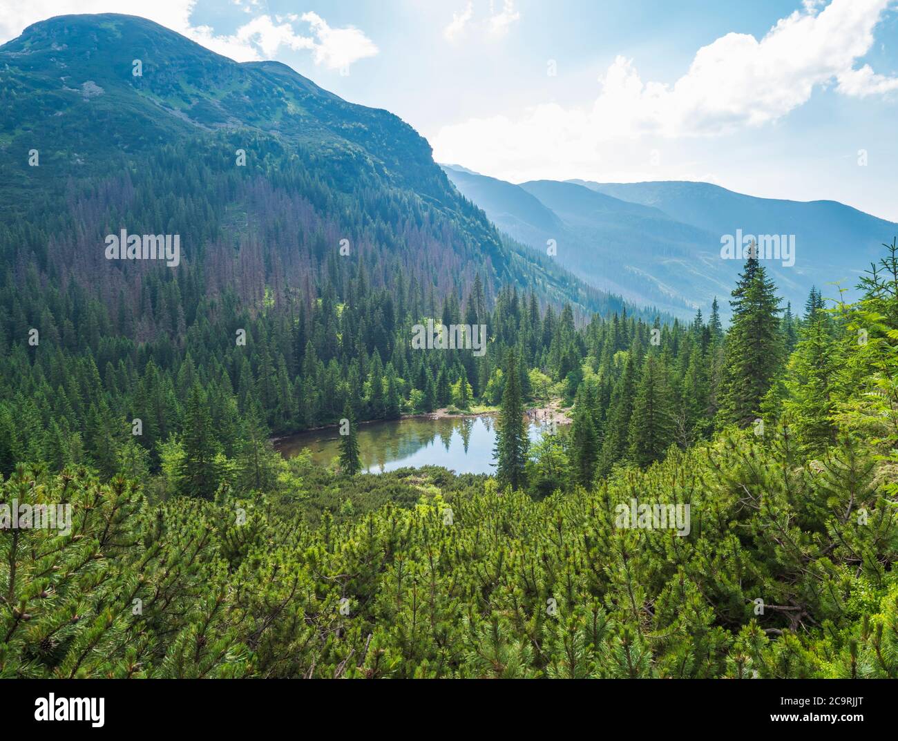 Vista su Tatliakovo jezero o pleso, lago di montagna nelle montagne occidentali Tatra, Rohace Slovacchia. Bella foresta di abete rosso e montagna picco paesaggio Foto Stock