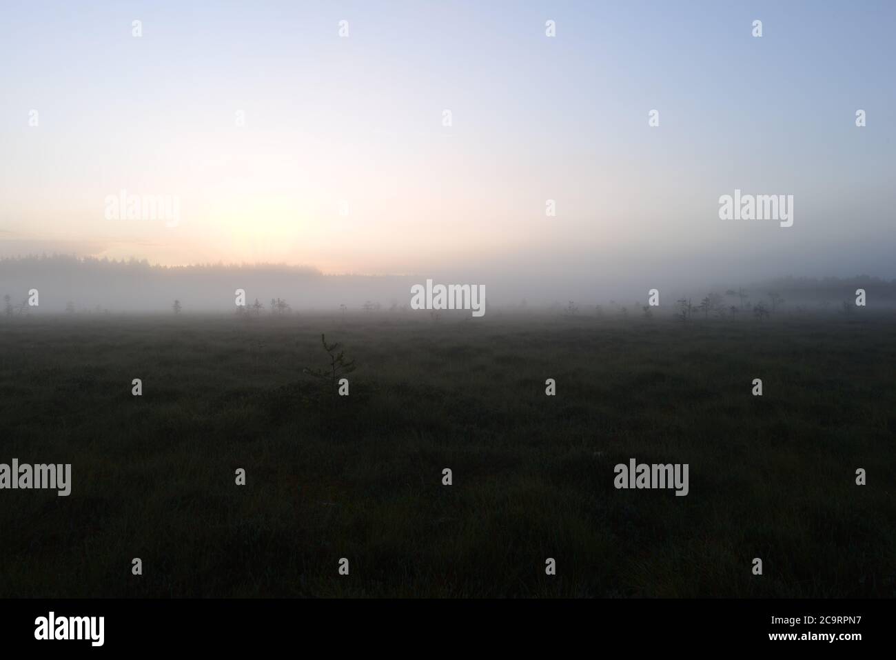 Il sole che sale in un cielo stoltito dietro una foresta sopra una palude nella rugiada scintillante del mattino Foto Stock