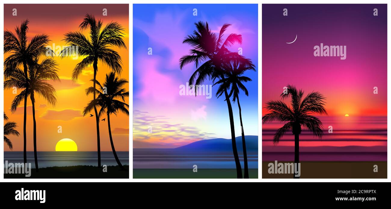 Estate tropicale spiaggia sfondi set con palme, cielo alba e tramonto. Scheda di invito per il poster delle feste estive. Estate. Illustrazione Vettoriale