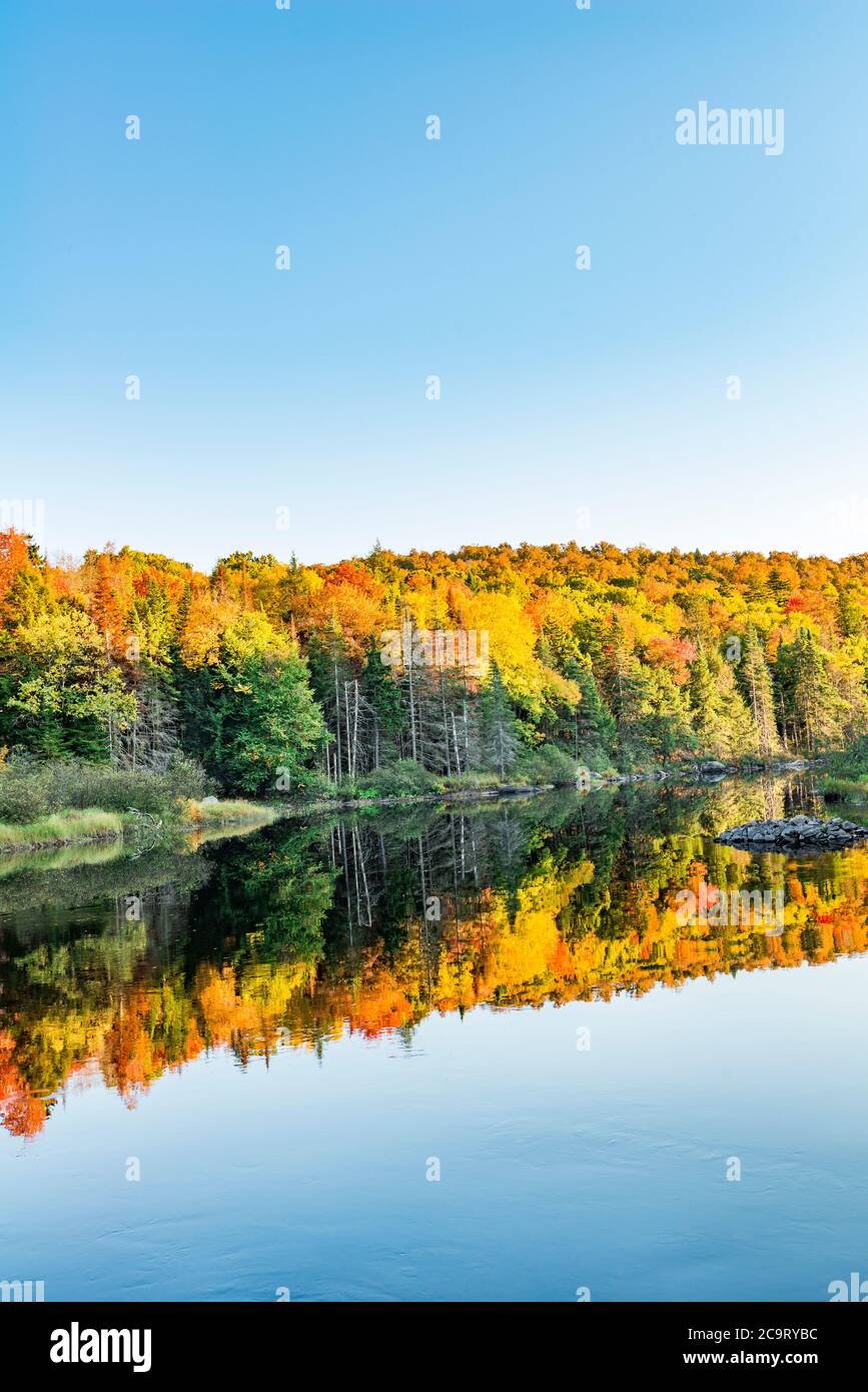 Autunno sul fiume Raquette, Long Lake, Hamilton County, Adirondack Mountains, New York Foto Stock