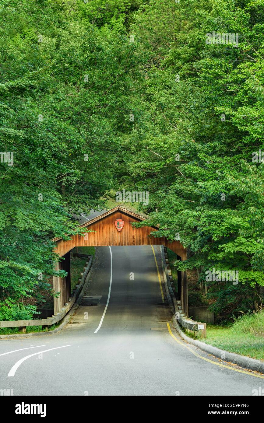 Un ponte coperto accoglie i visitatori della Piercé Stocking Scenic Drive presso il Sleeping Bear National Lakeshore, Glen Arbor, MI Foto Stock