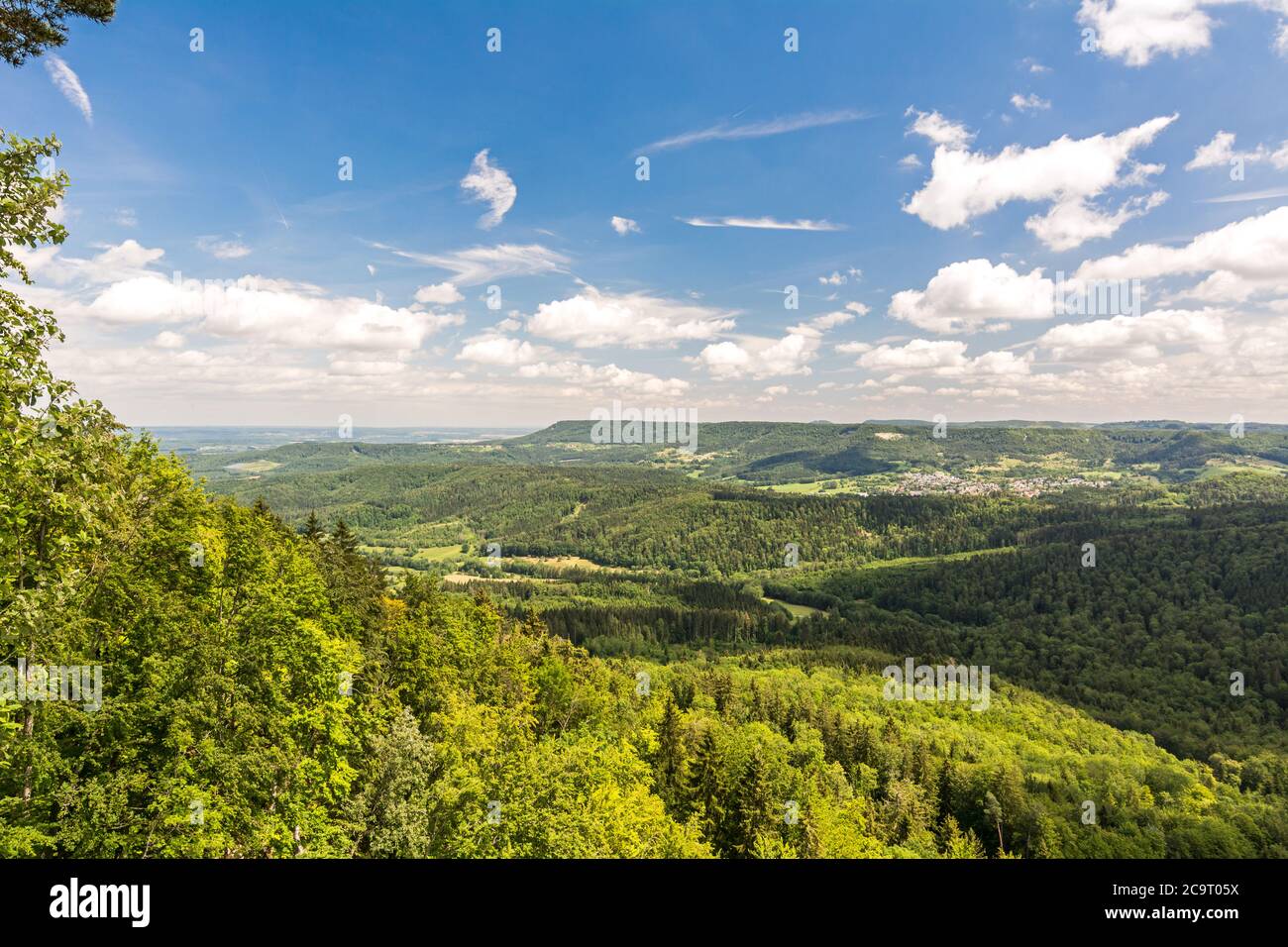 Bel paesaggio collinare verde e foresta nelle Alpi Sveve nella Germania meridionale (Baden-Württemberg) Foto Stock