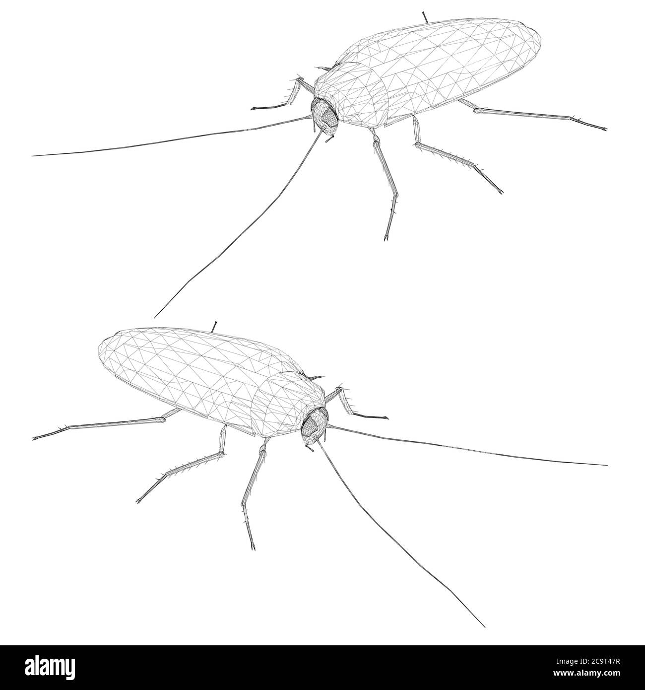 Scarafaggio con dettagli in poly basso. Vista isometrica. Scarafaggio wireframe isolato su sfondo bianco. Illustrazione vettoriale. Illustrazione Vettoriale