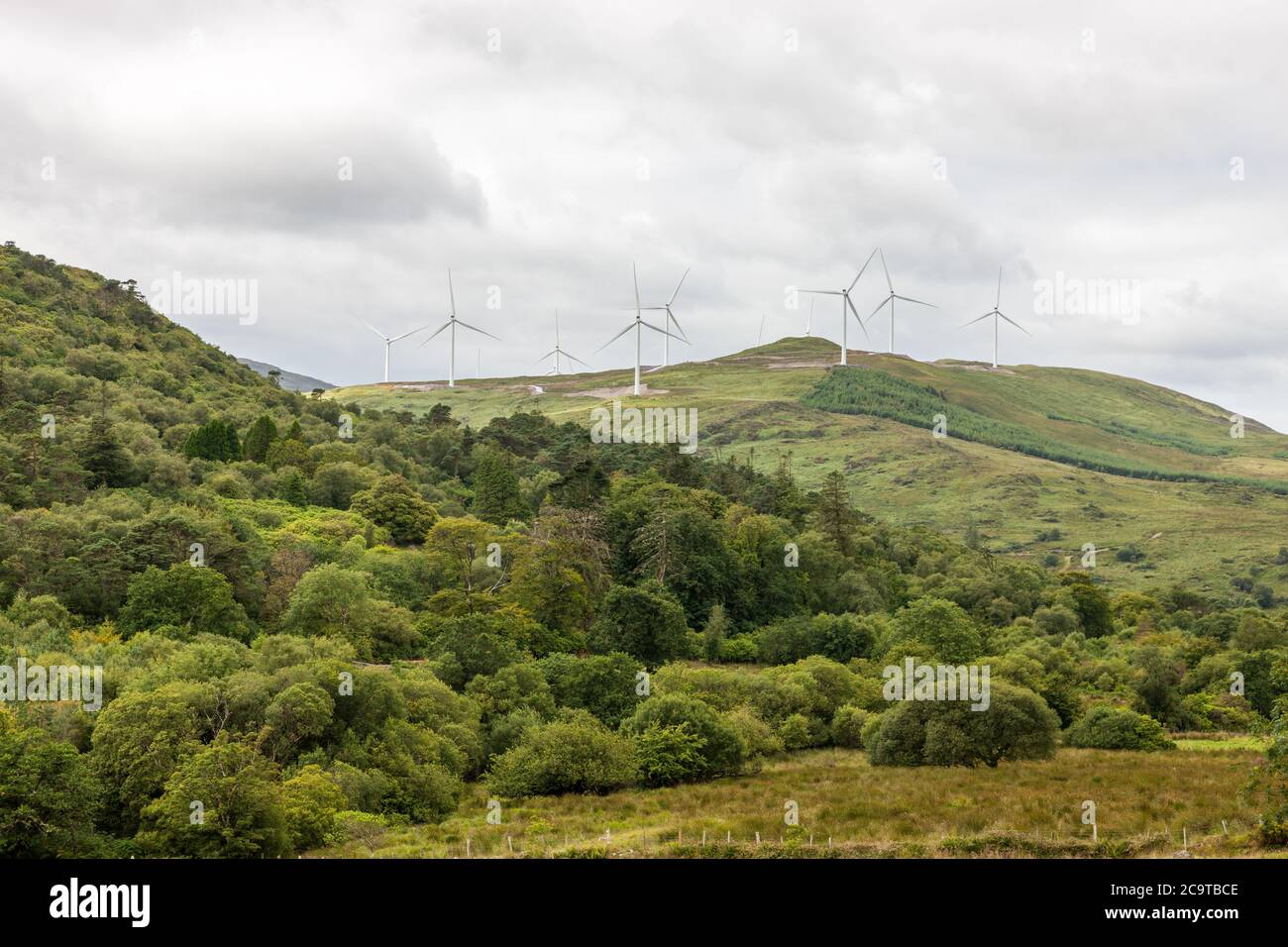 Kilgarvan, Kerry, Irlanda. 01 agosto 2020. Parco eolico fuori KIlgarvan, Co. Kerry, Irlanda. Credito; David Creedon / Alamy Foto Stock