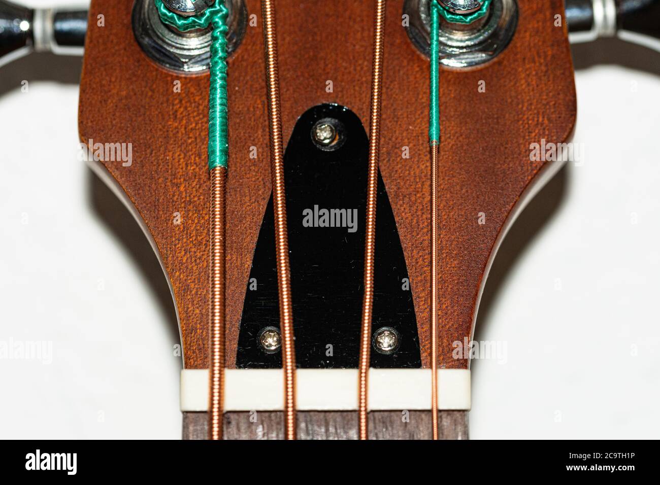 Collo di una chitarra basso acustica con attaccatura a corda Foto Stock