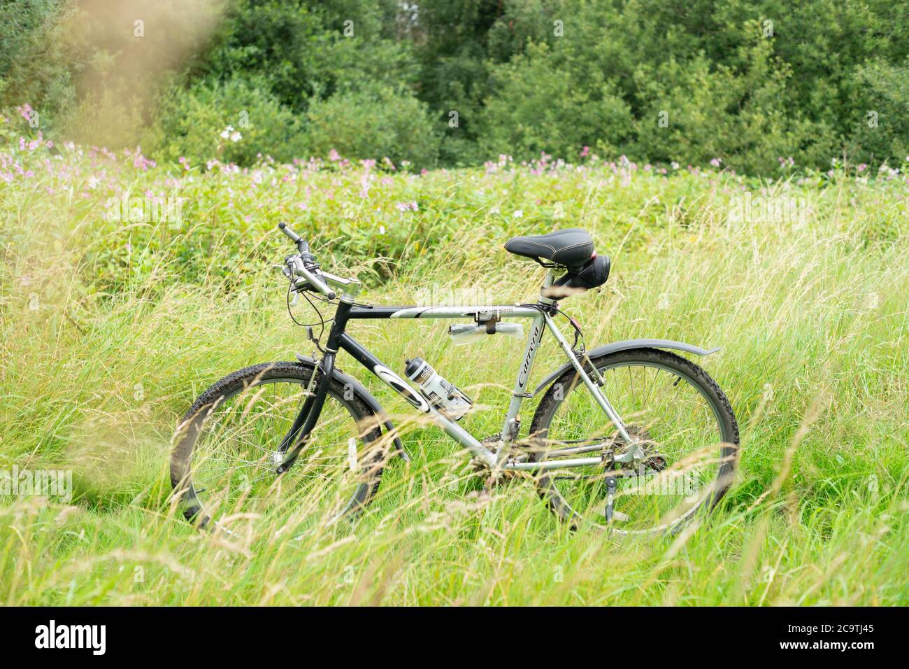 Carrera Vulcan Silver Halfords bici ibrida su sentiero o sentiero in folto fogliame o erba. Palestra, attività, ciclismo, fitness, mantenersi in forma, all'aperto. REGNO UNITO Foto Stock