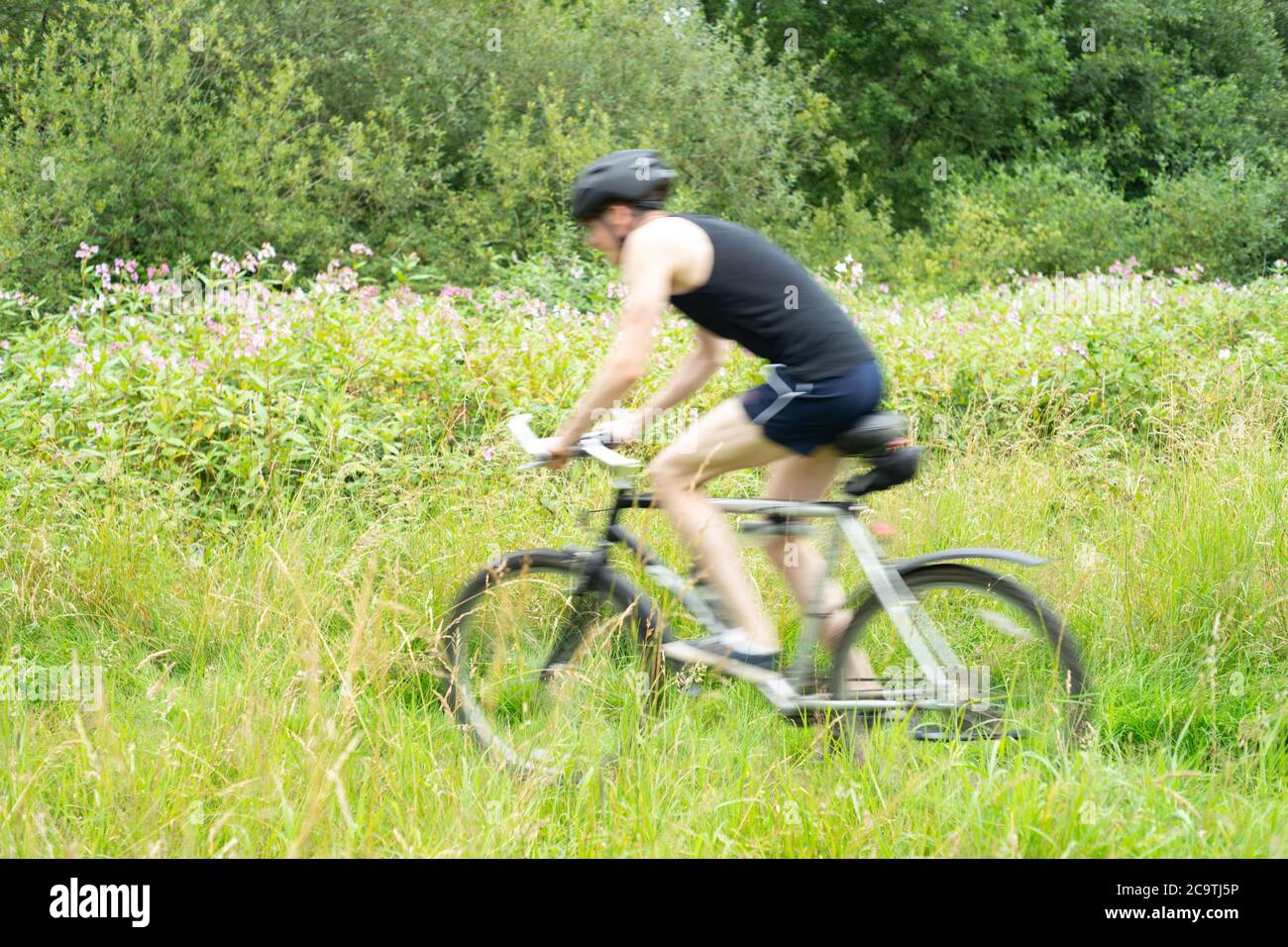 Ciclista passando attraverso pista ciclabile rurale a velocità. Sfocatura del movimento, effetto velocità. Suggerisce velocità, movimento. Rimozione di logo e marchi. Modello rilasciato. Foto Stock