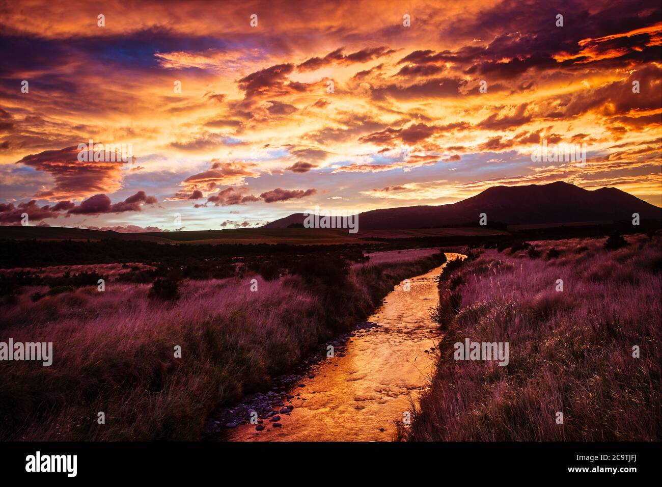 Un'alba colorata si rompe su Southland, sull'isola meridionale della Nuova Zelanda. Foto Stock