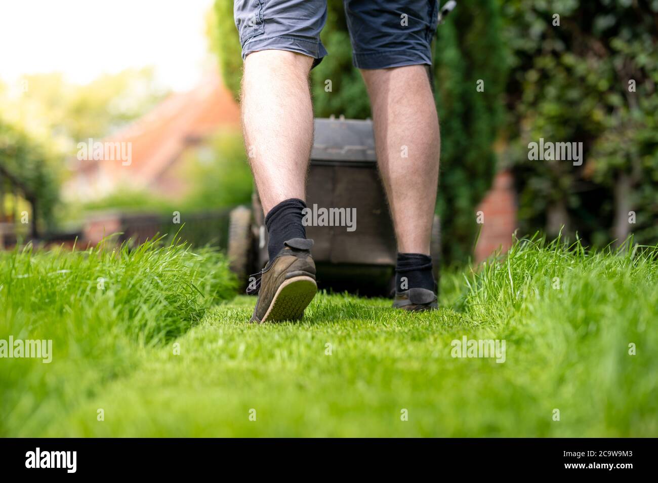 Uomo che taglia gras con un rasaerba. Foto Stock