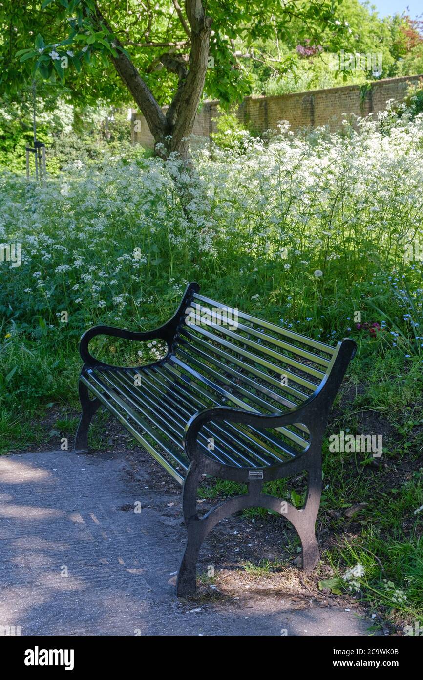 Panca vuota del parco con fiori selvatici e alberi dietro di esso & parete di stato classificato di grado II di Eastcote House Walled Garden, Eastcote, Hillingdon, NW London. Foto Stock