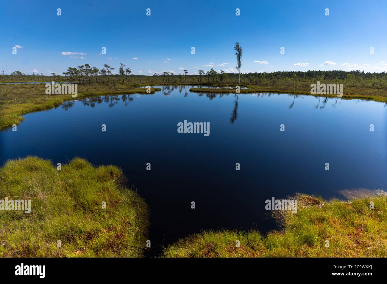 Parco nazionale di Riisa Bog Soomaa (terra delle paludi) in una zona umida nelle contee di Parnu e Viljandi, Estonia sud-occidentale. Foto Stock