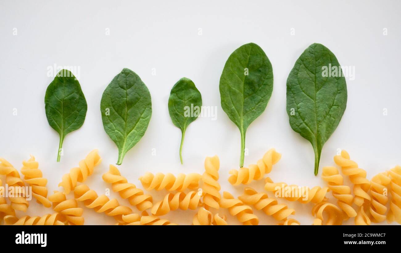 Foglie di spinaci verdi in fila che assomiglia a una foresta, pasta cruda non cotta in fondo. Foto Stock
