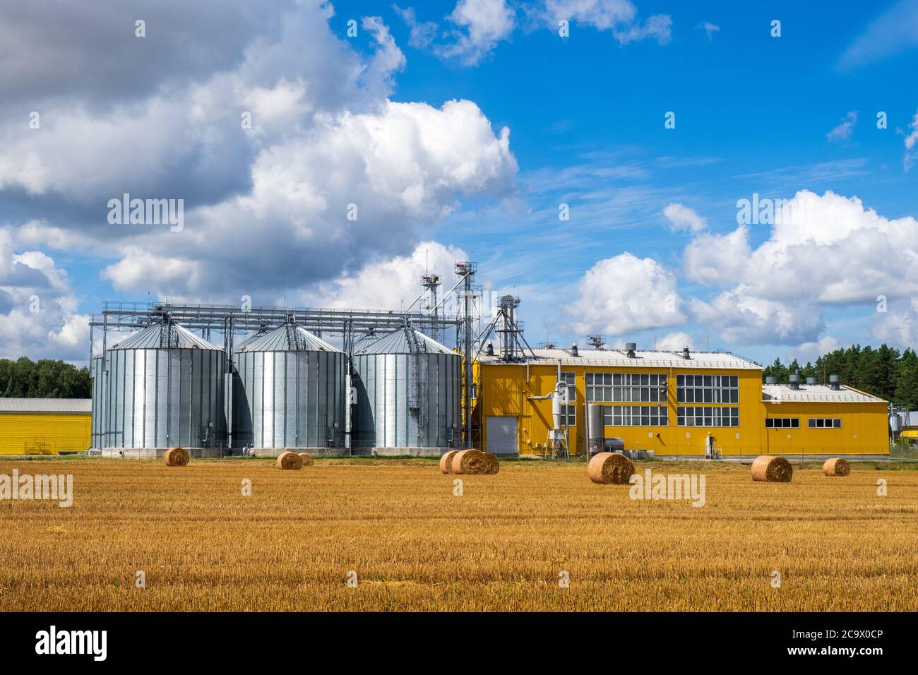 Concetto di agroalimentare. Impianto di agro-lavorazione e produzione con silos metallici per stoccaggio cereali, essiccazione, pulizia prodotti agricoli, farina, cerea Foto Stock