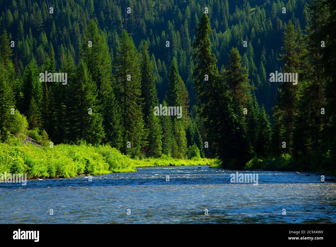 Fiume selvaggio e panoramico di St. Joe, foresta nazionale di St. Joe, strada panoramica sul fiume St. Joe, Idaho Foto Stock