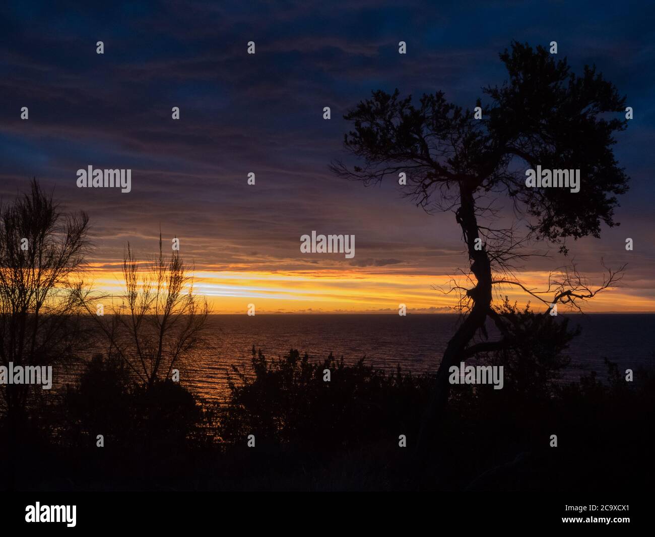 Un tramonto inky sulla Baia di Port Phillip, vista dal Monte Eliza sulla Penisola di Mornington, Australia. Foto Stock