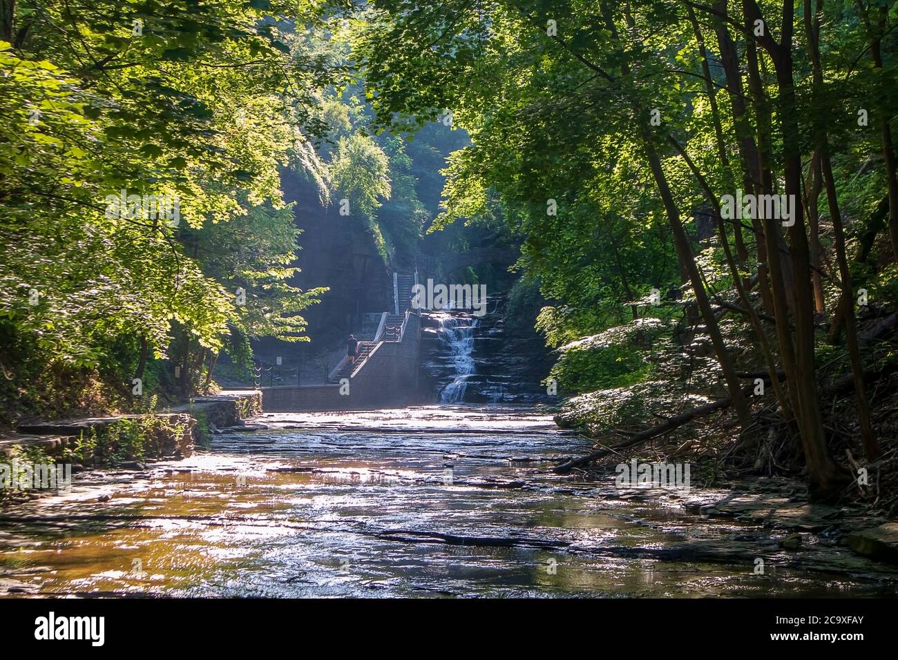 Splendido paesaggio sul Cascadilla Gorge Trail a Ithaca, New York Foto Stock