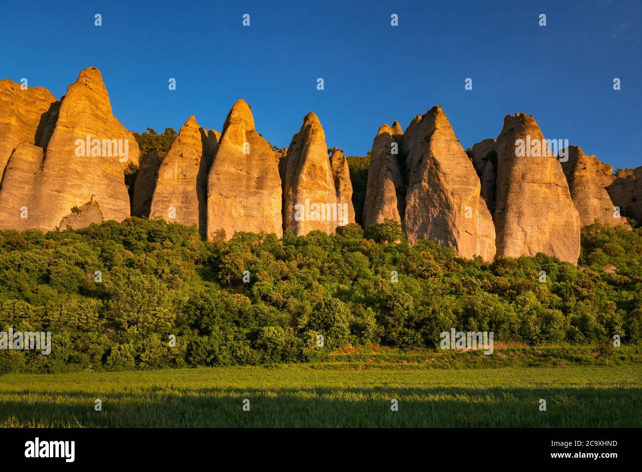 Tramonto sulla formazione rocciosa monolitica chiamata 'Les Pénitents' vicino al villaggio di Les Mées. Provenza-Alpi-Costa Azzurra (Regione PACA), Francia Foto Stock