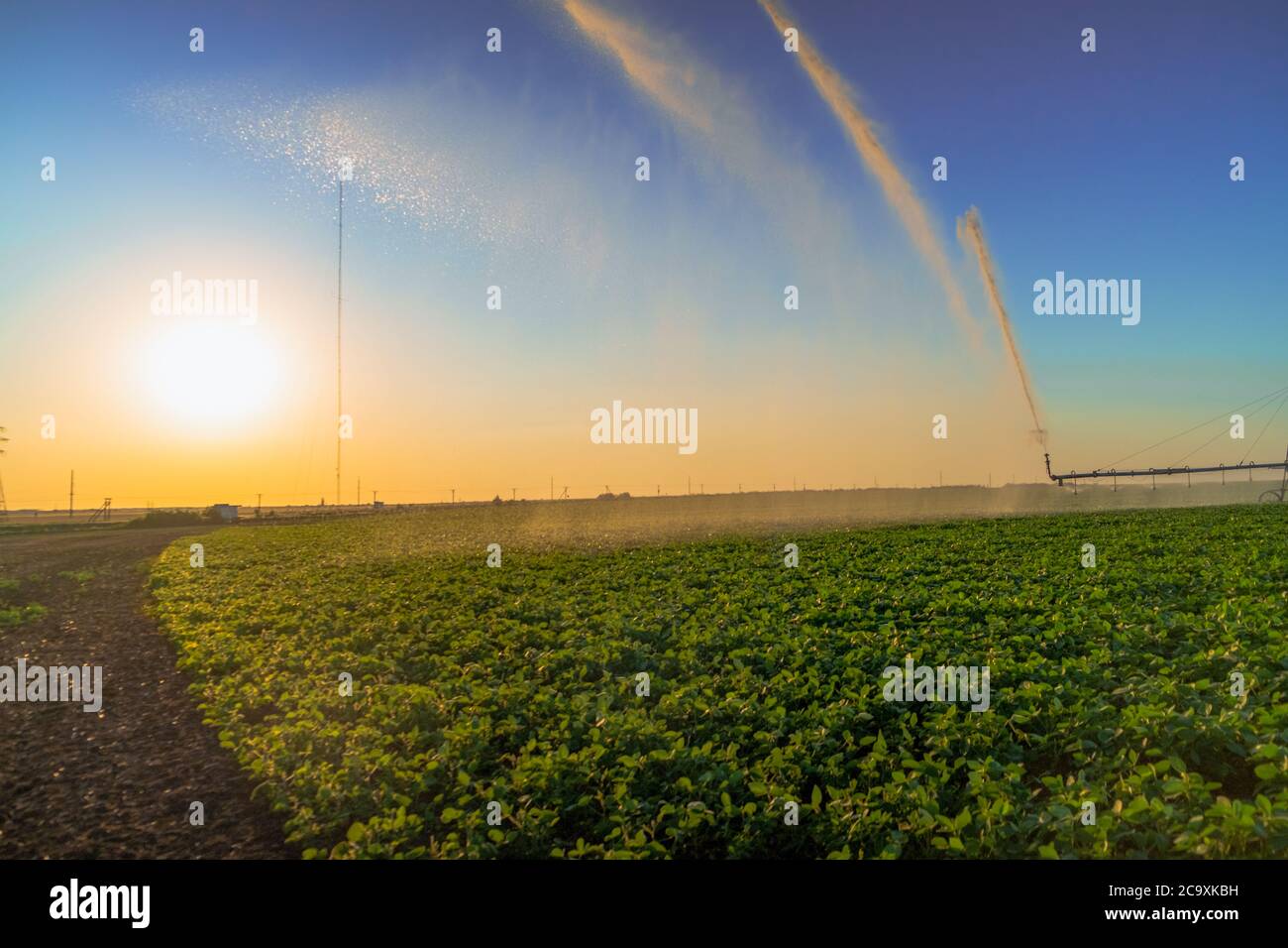 impianto di irrigazione pistole a pioggia irrigatore su campo agricolo.irrigazione di piante Foto Stock