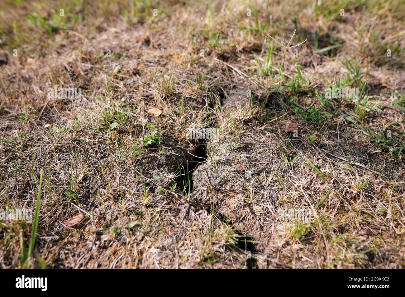 Crepa in terra a causa della siccità prolungata nel cortile di un agricoltore rumeno. Foto Stock