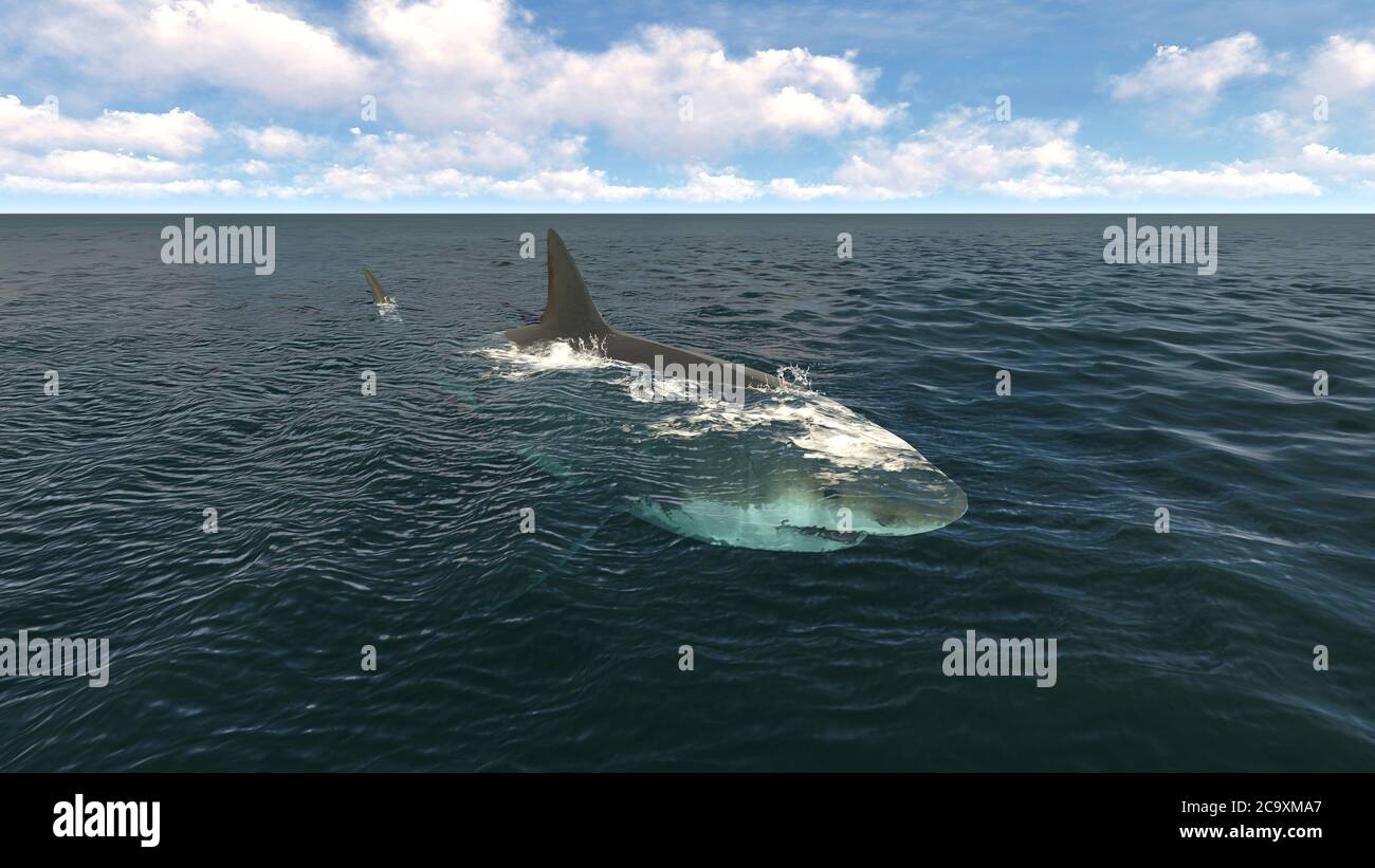 Grande squalo bianco nell'oceano atlantico. illustrazione 3d Foto Stock