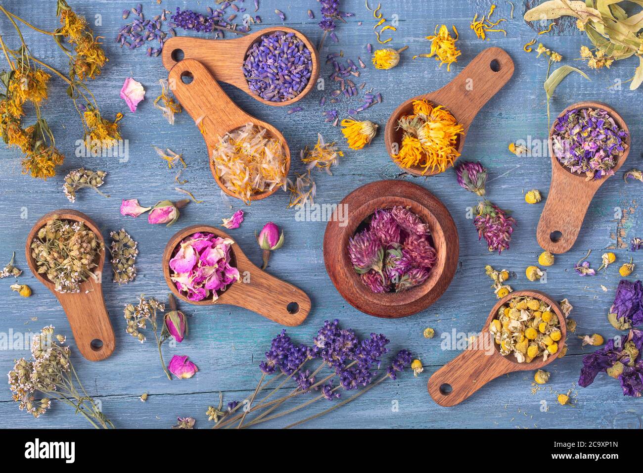Fiori secchi in cucchiai di legno su sfondo blu Foto Stock