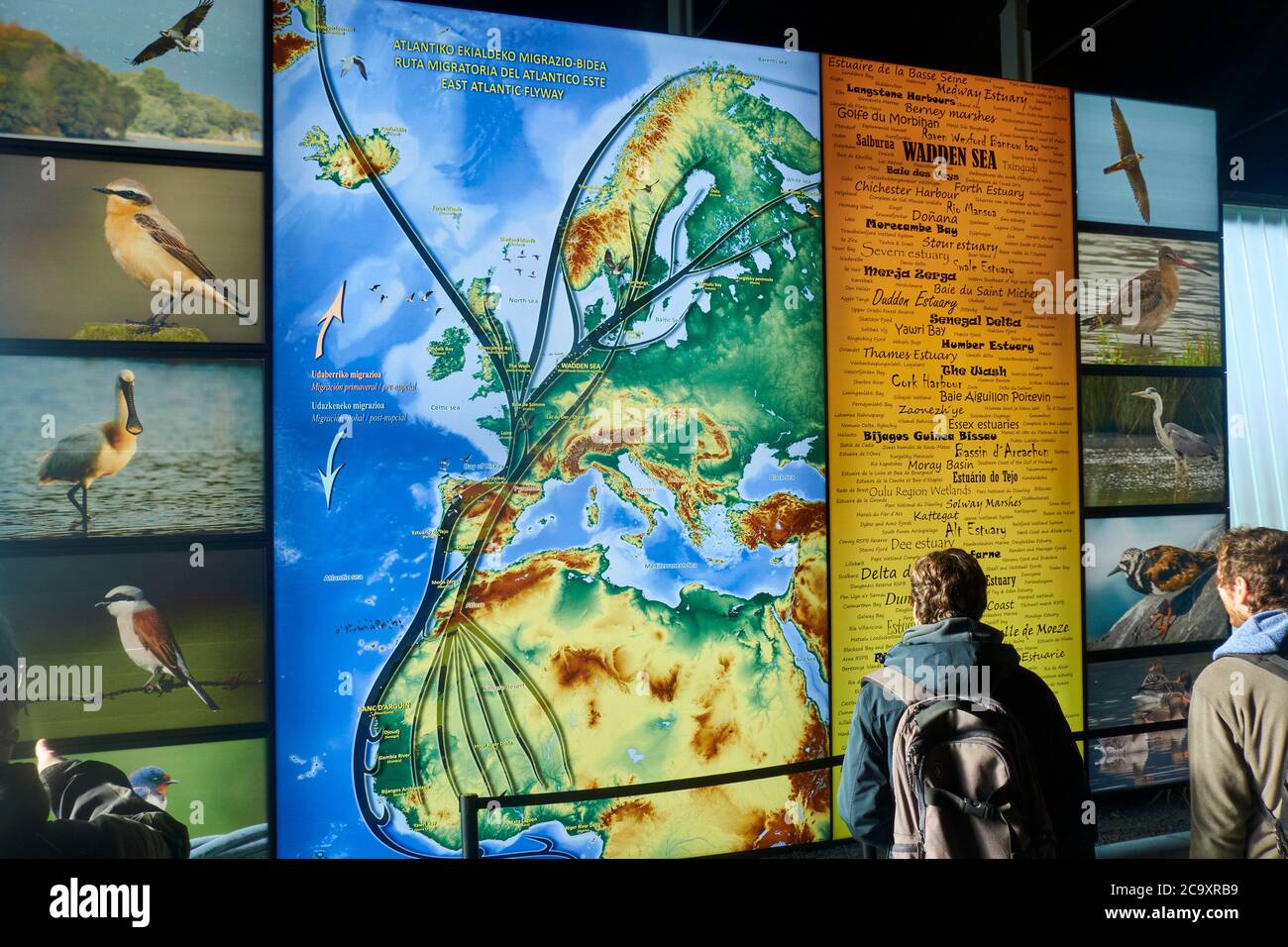 Visitatori che guardano al pannello informativo di Bird Migration Center. Riserva della biosfera Urdaibai. Biscaglia. Paesi Baschi. Spagna Foto Stock